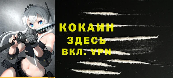 хмурый Осинники