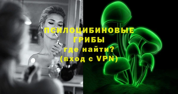 хмурый Осинники