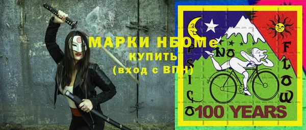 хмурый Осинники