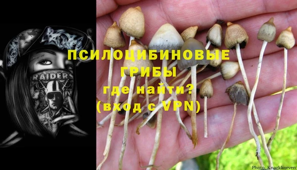 хмурый Гвардейск