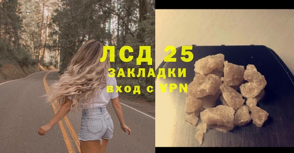 хмурый Осинники