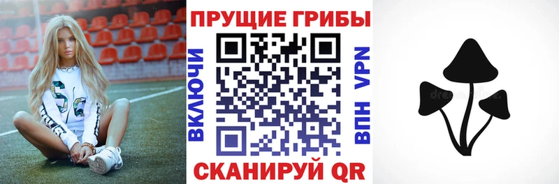 Псилоцибиновые грибы Magic Shrooms  blacksprut ТОР  Богучар 