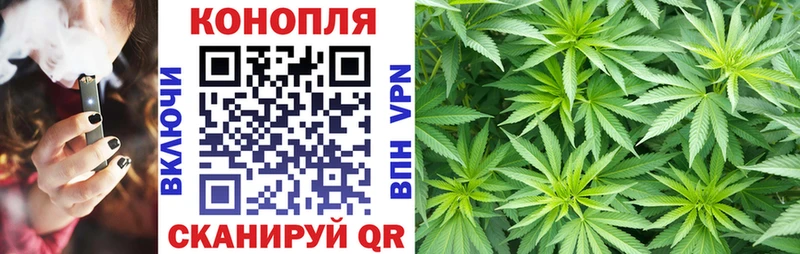 Бошки марихуана семена darknet какой сайт Богучар цены наркотик